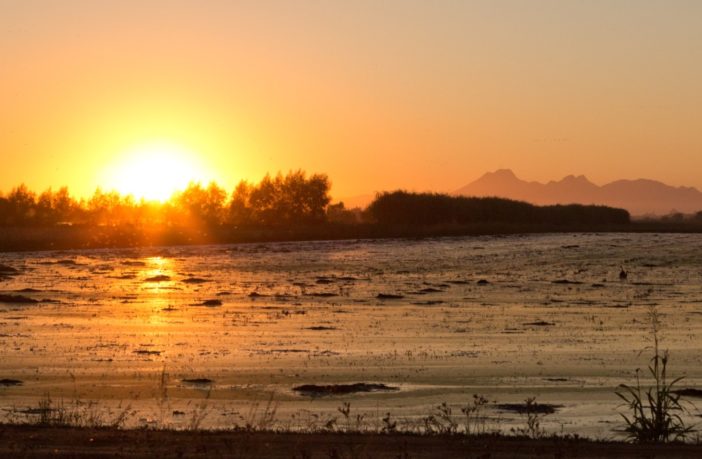 time for farmers to plant rice paddiws