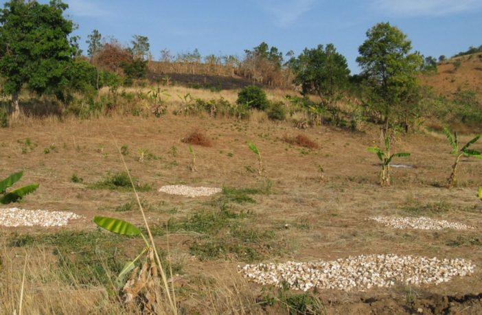 fighting climate change