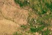 climate affects trees on haiti