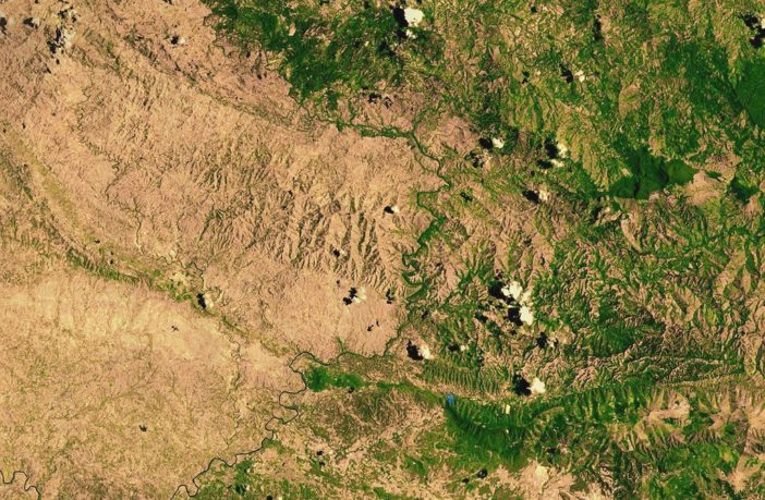 climate affects trees on haiti