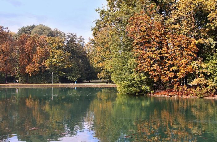 climate change and trees