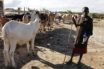 three shades of climate denial about Kenya