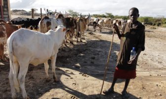 three shades of climate denial about Kenya