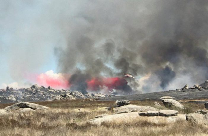 battery demand surge after orange river fire