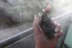 piles of e cigarette waste
