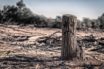 renaming climate change
