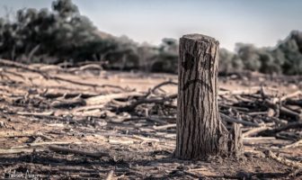 renaming climate change