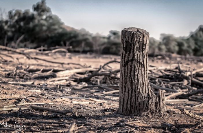 renaming climate change