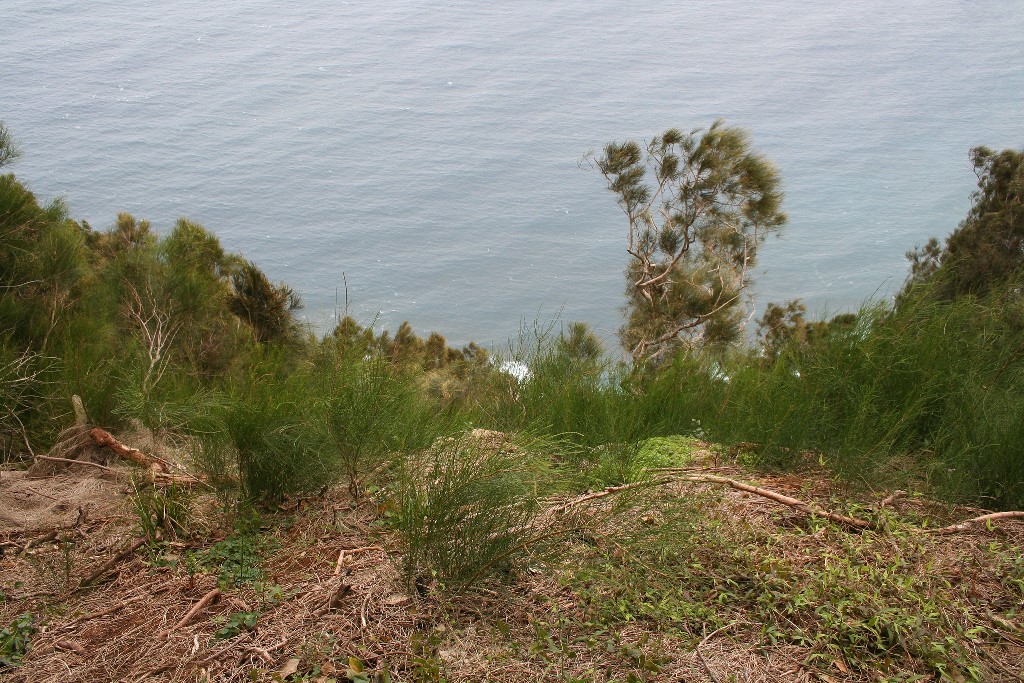 mountainous batteries