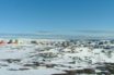 arctic divers view