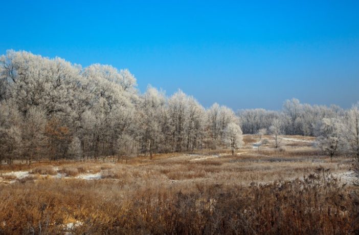 auto battery trouble