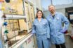 https://newscenter.lbl.gov/2019/11/07/grid-battery-for-renewable-energy/