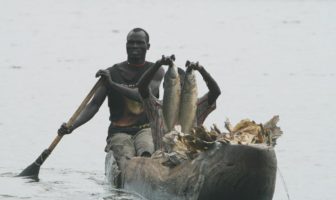 south sudan wetlands