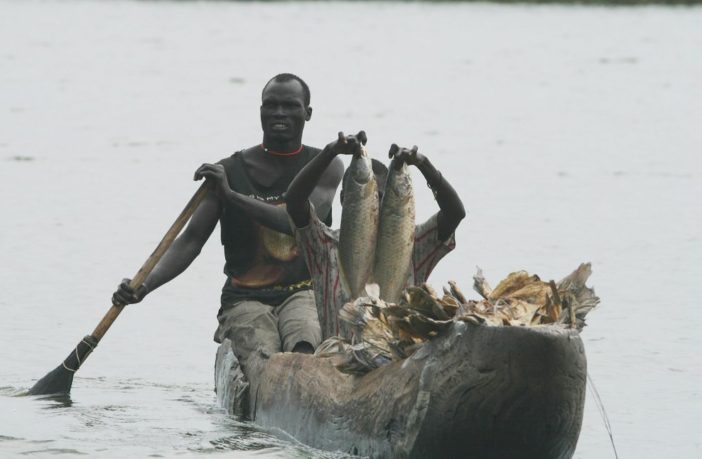 south sudan wetlands