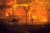 climate change affects our business
