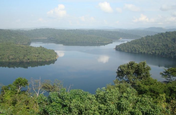 is southern amazonia