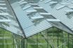 the greenhouse effect