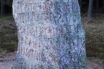 viking runes predicting climate