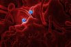 coronavirus epidemic