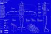 dense electric battery for rolls-royce