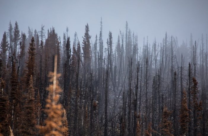 should climate stop us