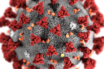 corona virus self isolation strategy