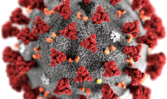 corona virus self isolation strategy