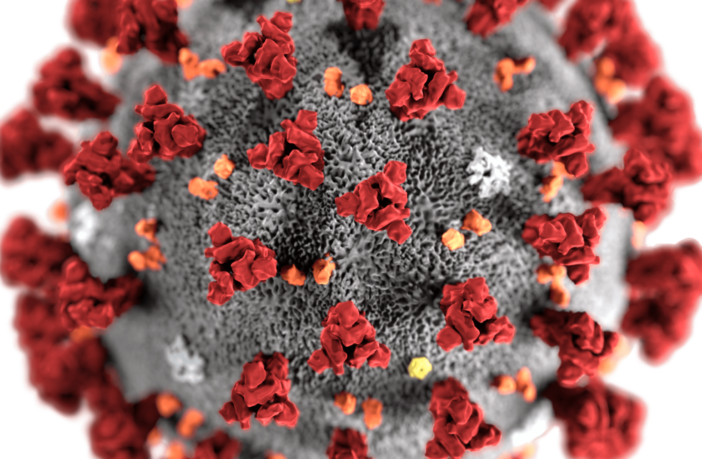 corona virus self isolation strategy