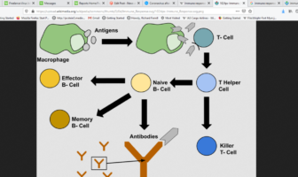 we could catch covid-19 a second time