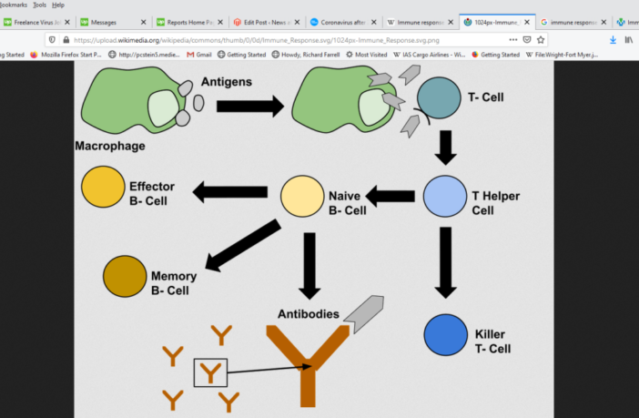 we could catch covid-19 a second time