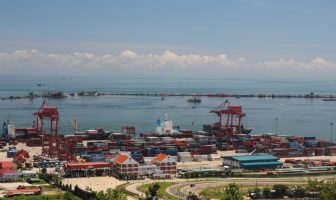 coronavirus has escaped from westerdam