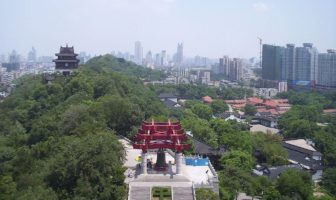 how covid-19 will roll out