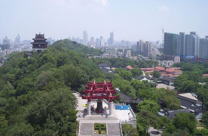 how covid-19 will roll out