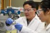 step towards safe lithium metal