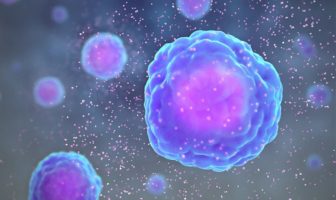 about hydroxychloroquine and chloroquine