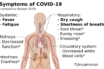 if we show covid-19 symptoms