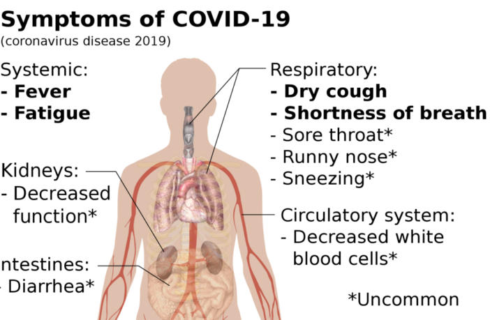 if we show covid-19 symptoms