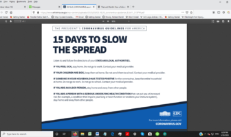 u.s. president's 15 days to slow the spread