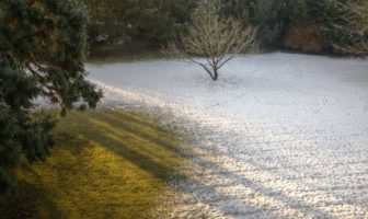 will covid hibernate