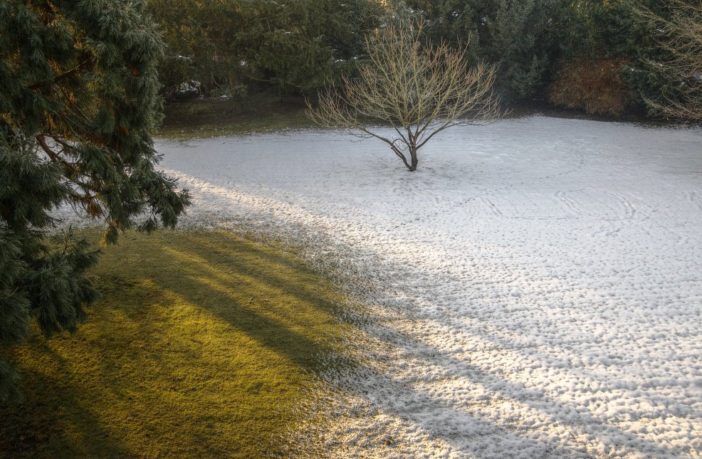 will covid hibernate