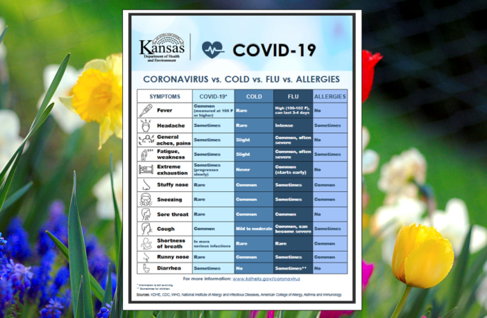 seasonal allergy symptoms