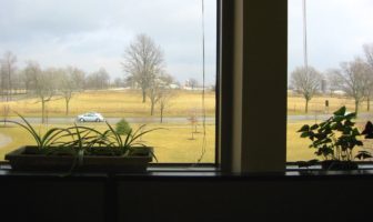 world health advice for people in isolation