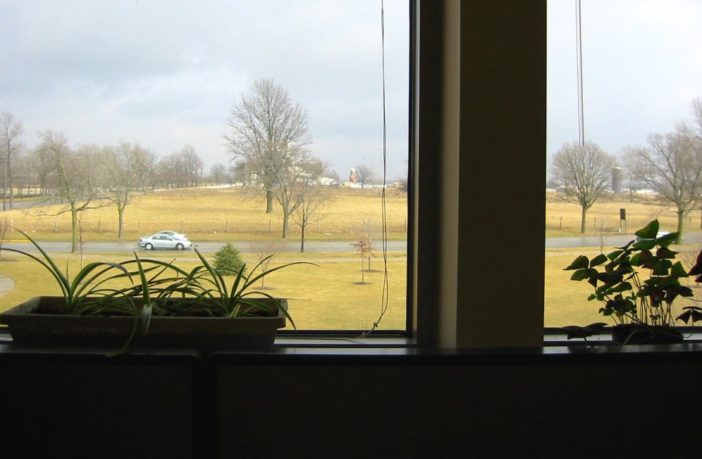 world health advice for people in isolation