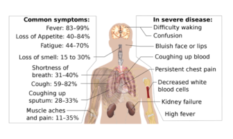 critical facts about the coronavirus