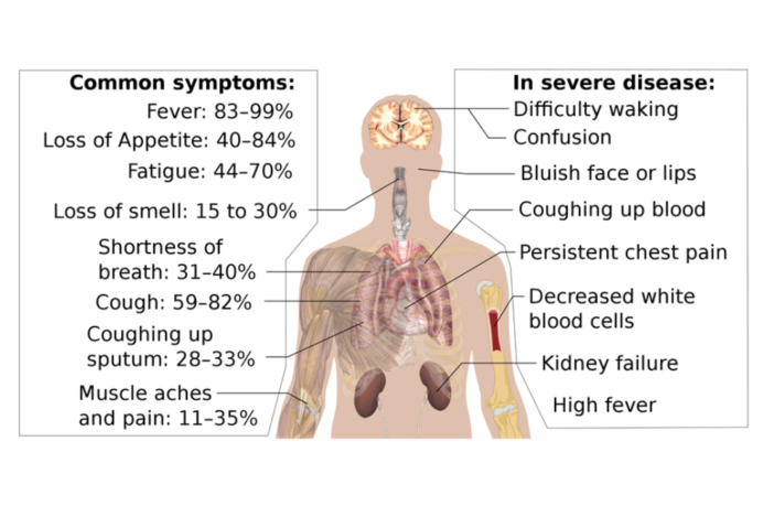 critical facts about the coronavirus
