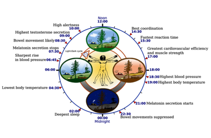 normal human body temperature