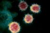 how sars-cov-2 and covid-19 are different