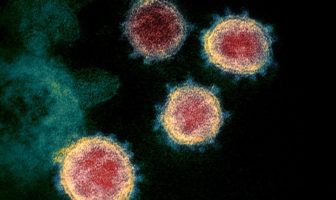 how sars-cov-2 and covid-19 are different