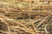 less hay in the hay stack for drug cartels