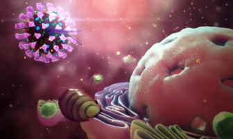 a candidate antibody for the virus